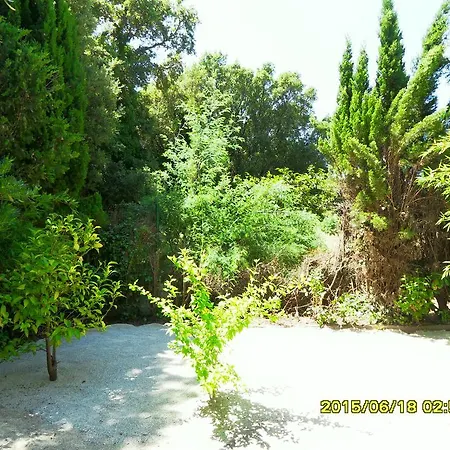 Apartament La Jacaranda